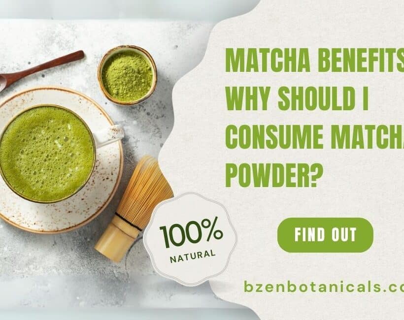 Matcha Benefits Why Should I Consume Matcha Powder